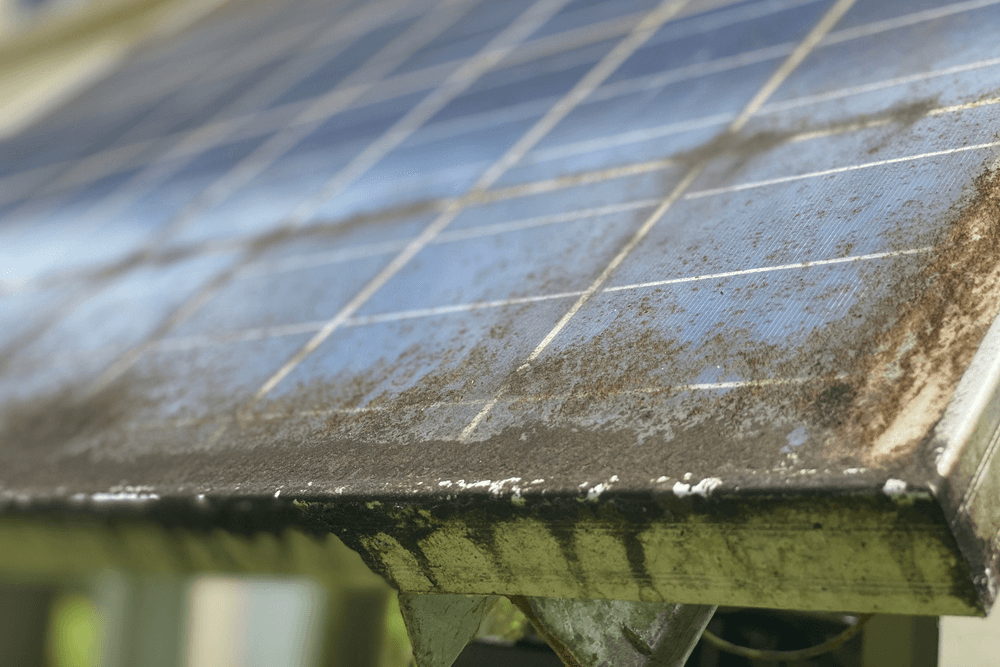 closeup of dirty solar panel