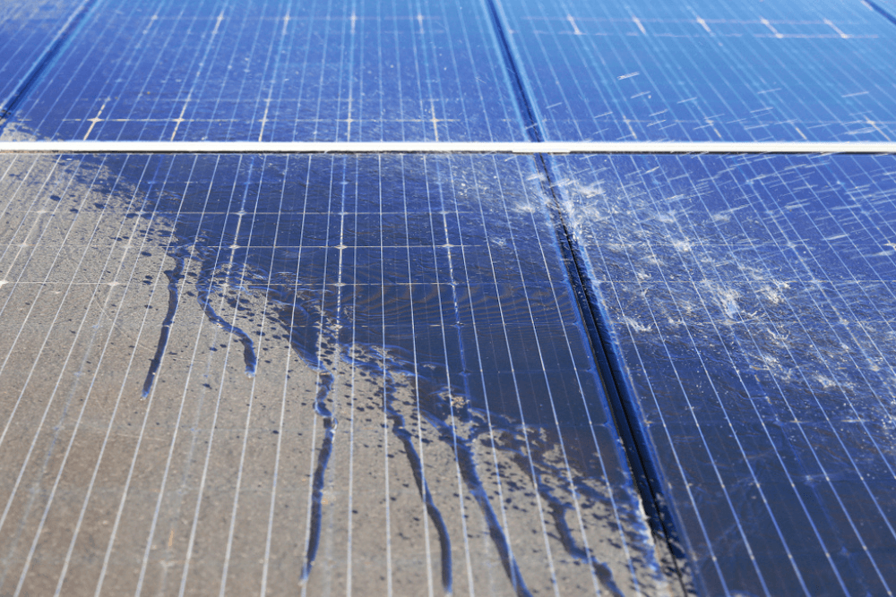 washing solar panels with water