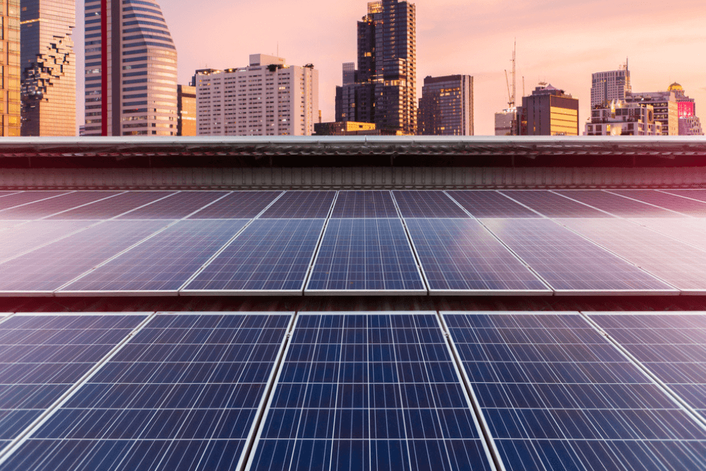 rows of solar panels on commercial building with city view background