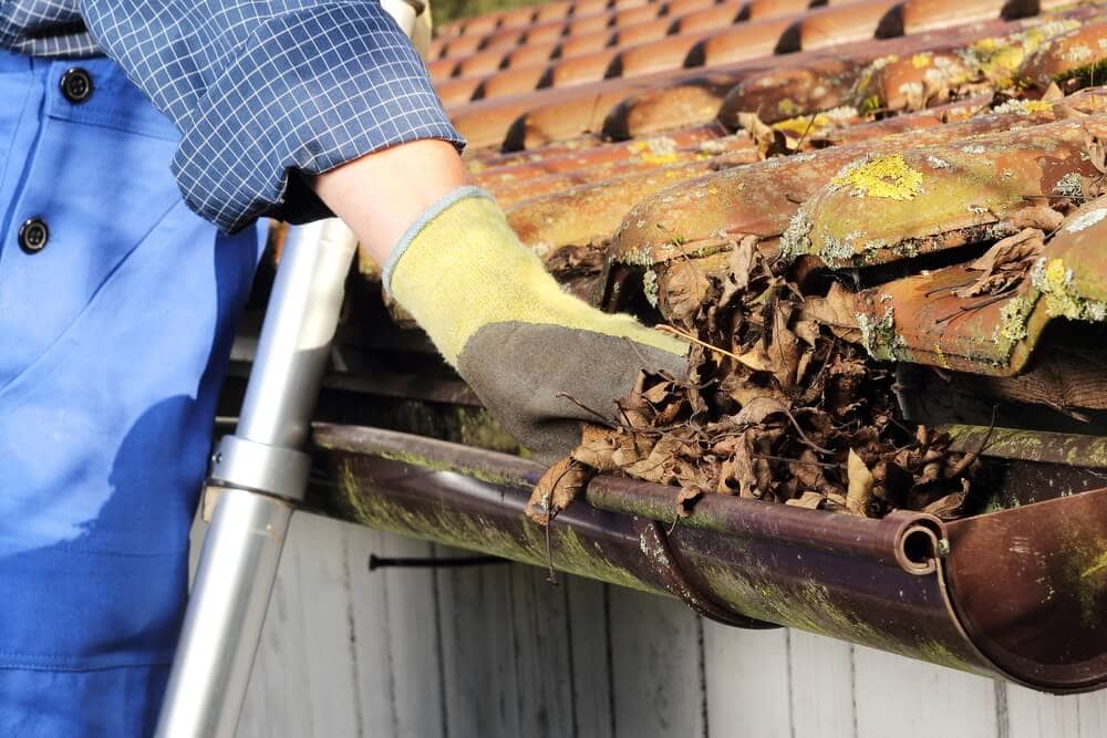 Roof gutter cleaner removing dried leaves soil and debris from gutter