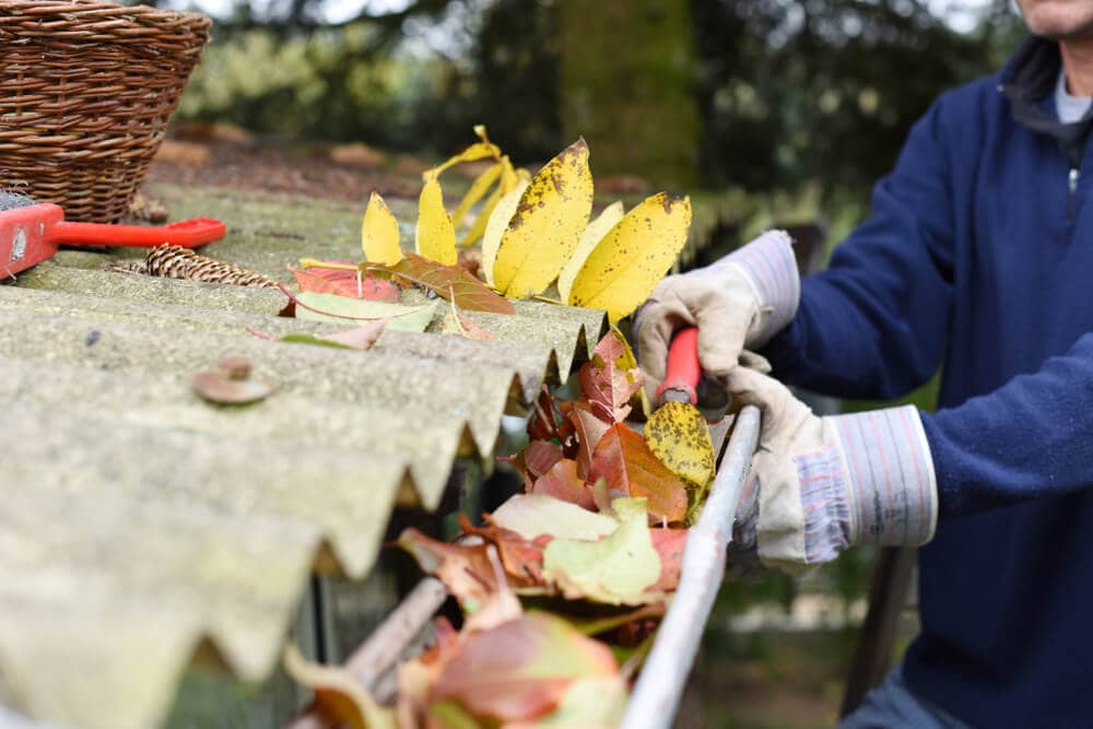 man scooping leaves from gutter