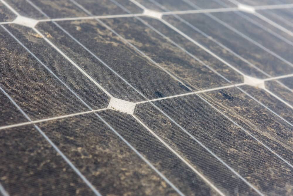 closeup of dirty solar panels