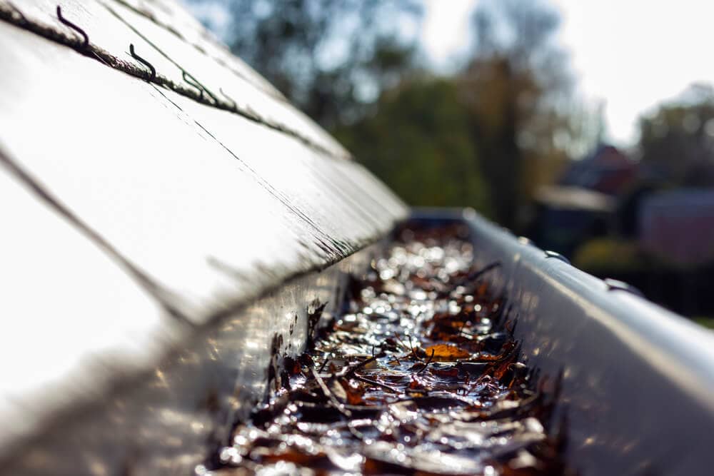 Roof gutter clogged with wet fallen leaves