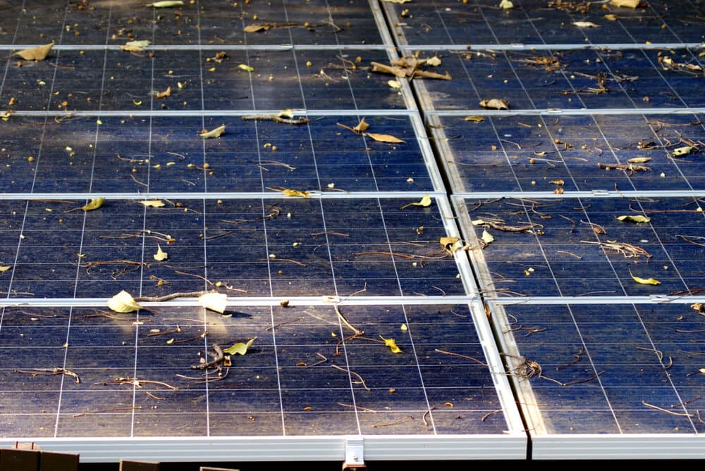 dried leaves on dirty solar panels